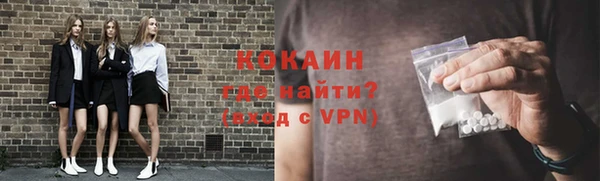 индика Бугульма