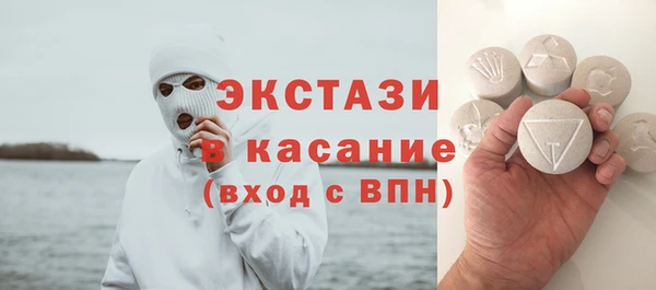индика Бугульма