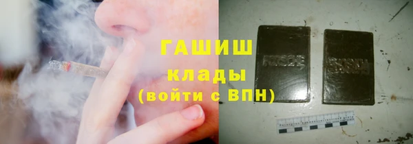 индика Бугульма