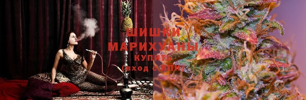 индика Бугульма