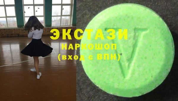 индика Бугульма