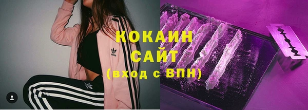 мдпв Верея