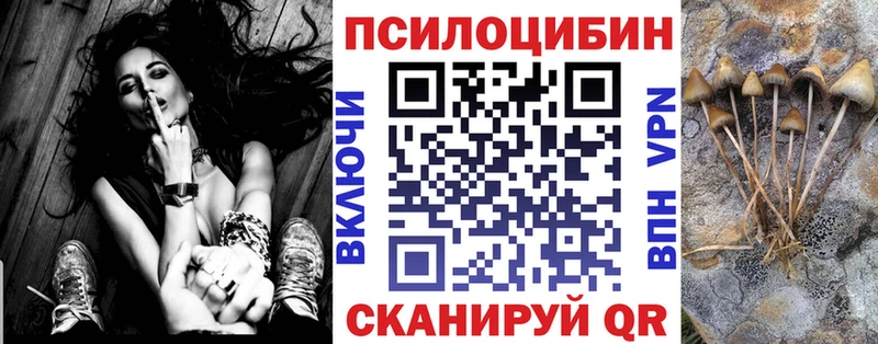 Купить где  Кашира  Псилоцибиновые грибы Magic Shrooms 